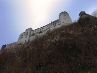 IMG 3593