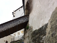 IMG 3594