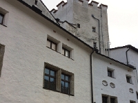 IMG 3596