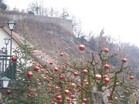 2016 12 03 Geburtstagsfahrt Salzburger Advent